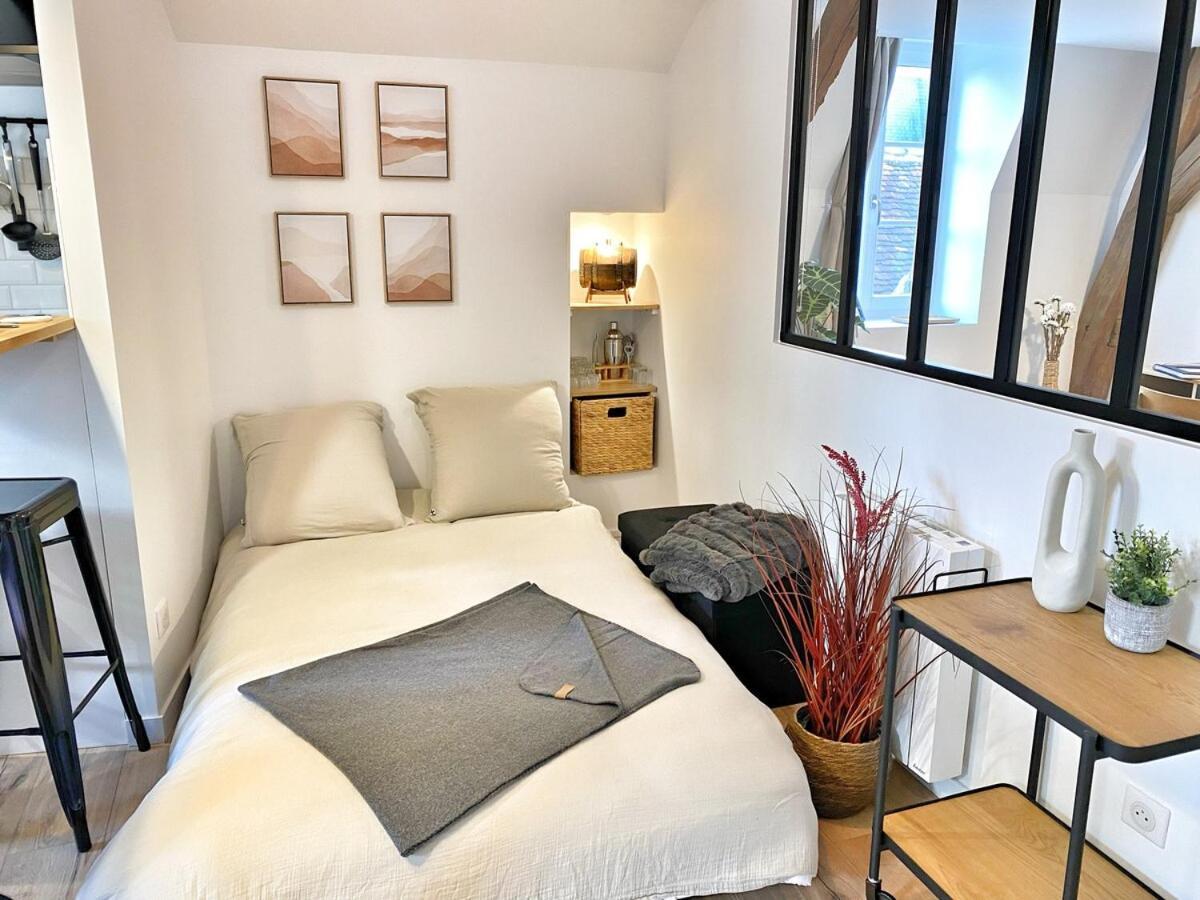 Ferienwohnung Le Repere Des Sommeliers - Sejour A Auxerre Exterior foto